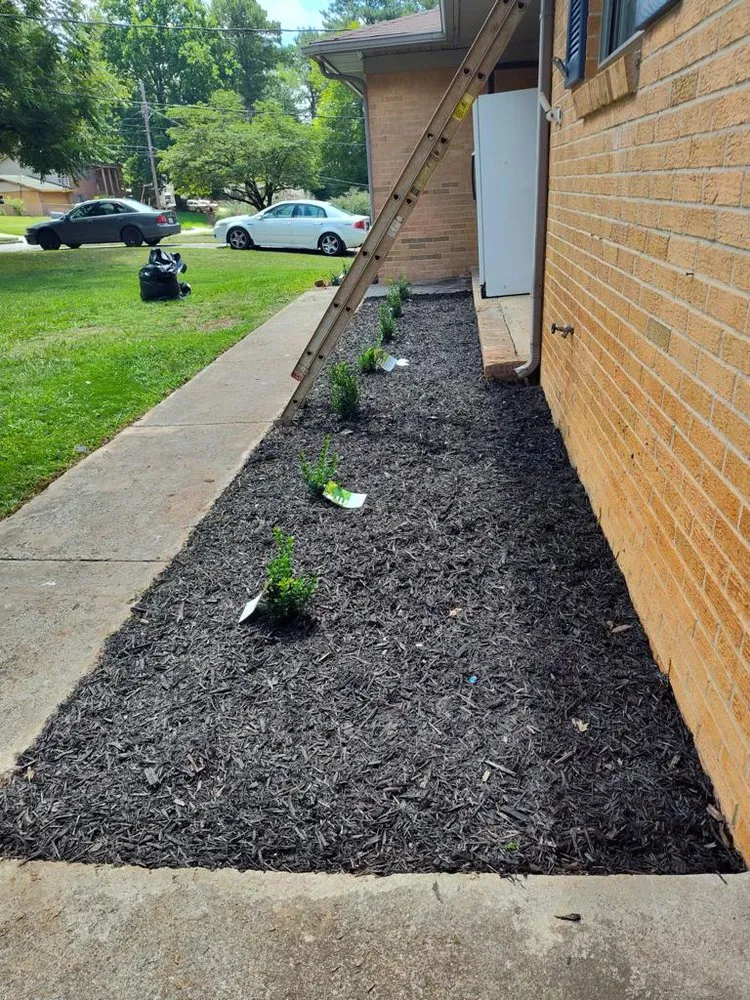 Trusted yard maintenance in Chula Vista, CA by Coco Landscape