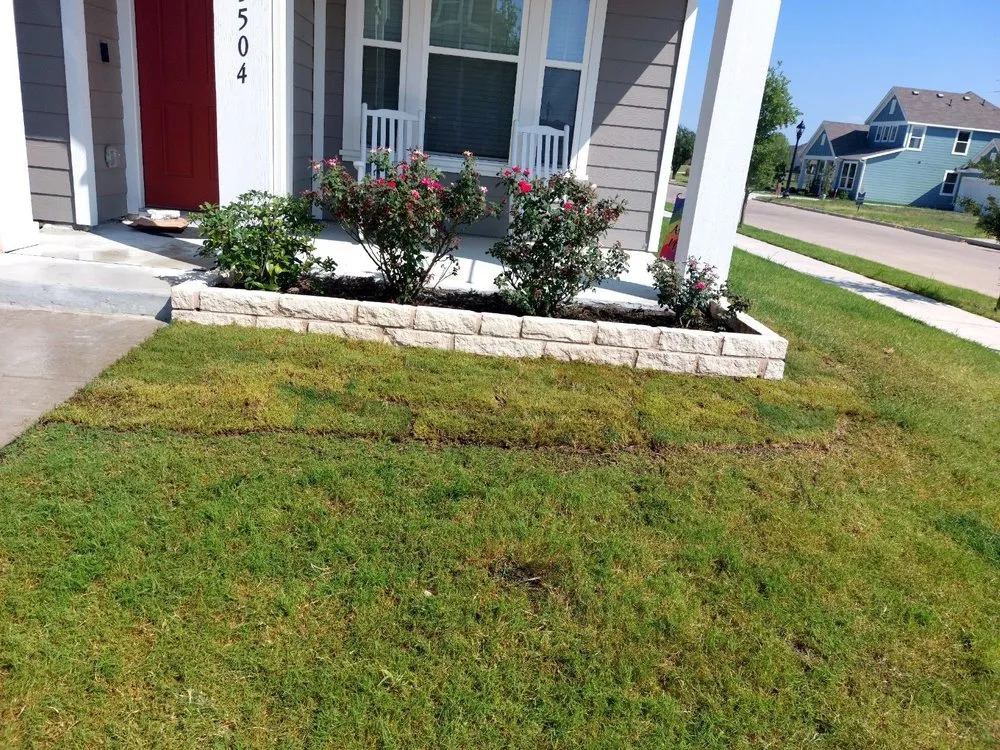 Local landscape installation with custom design across Chula Vista, CA - Coco Landscape