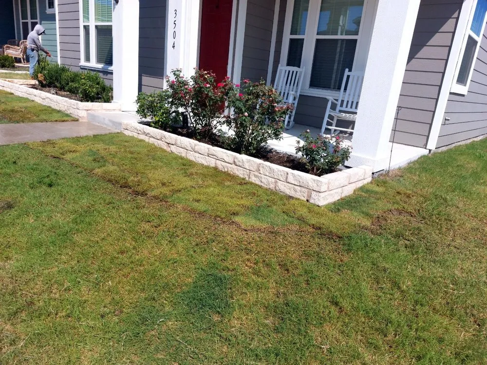 Affordable yard maintenance in Chula Vista, CA - Coco Landscape