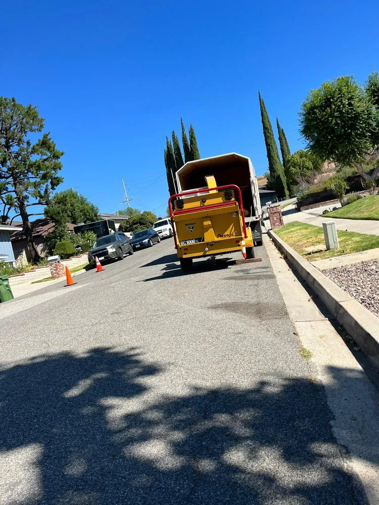 Local landscape design for residential properties in Chula Vista, CA by Coco Landscape