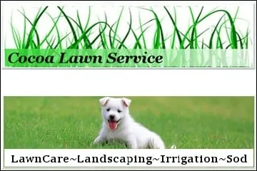 Professional yard cleanup service in Cocoa, FL - Cocoa Lawn Service