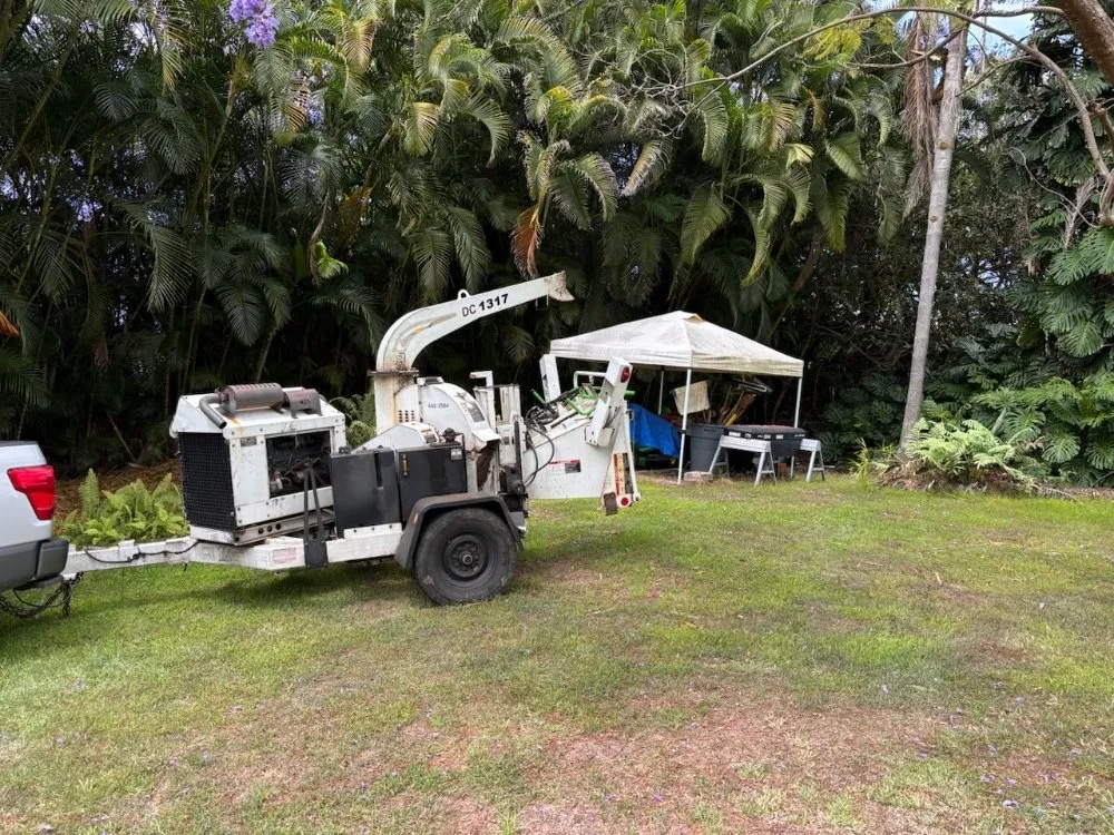 Affordable lawn care service for residential properties in Captain Cook, HI by Coconut Care