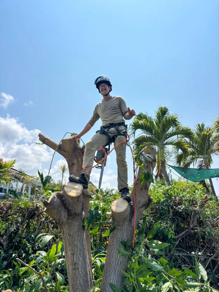 Local garden landscaping near you in Captain Cook, HI by Coconut Care