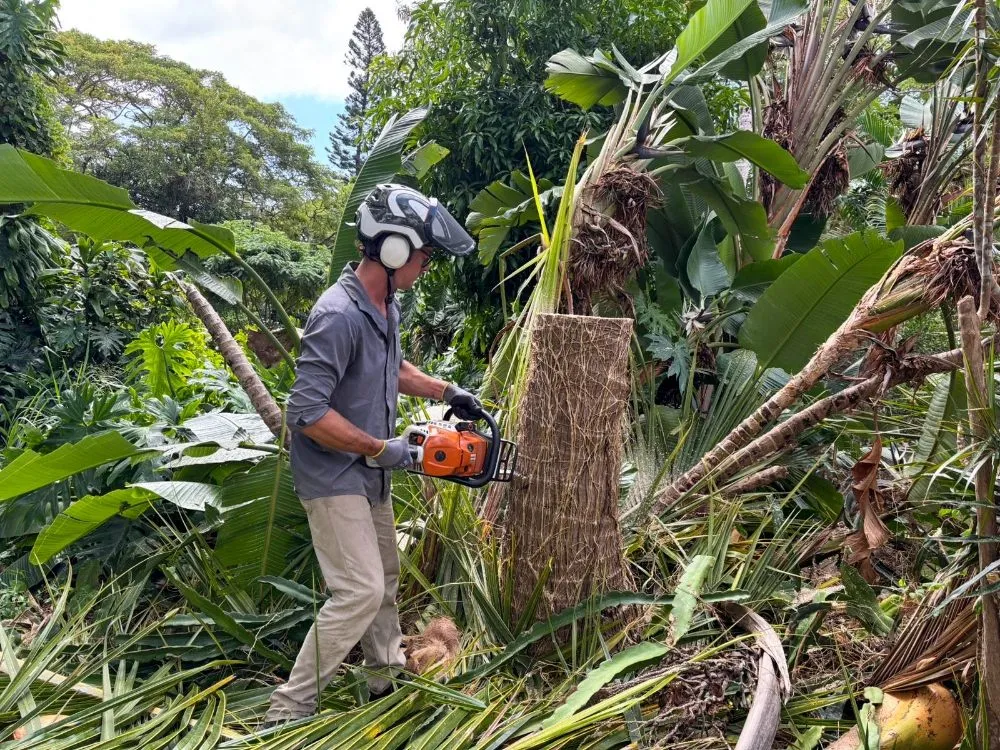 Custom yard cleanup service for year-round maintenance in Captain Cook, HI by Coconut Care