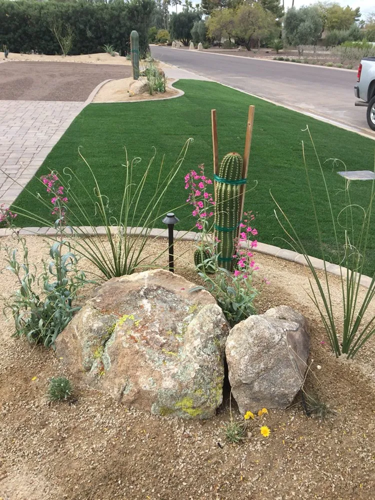 Expert outdoor landscaping in Phoenix, AZ - Coconut Contracting