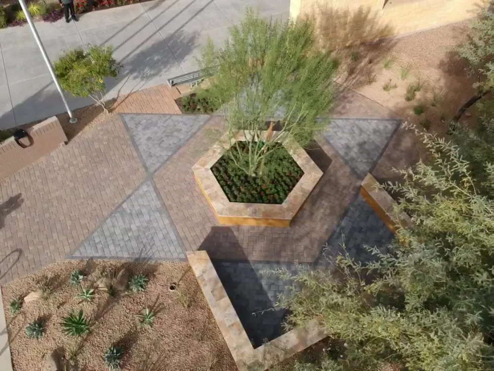 Trusted garden landscaping for year-round maintenance in Phoenix, AZ by Coconut Contracting