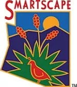 Reliable landscaping services experts serving Phoenix, AZ - Coconut Contracting