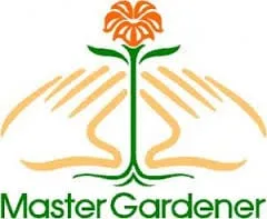 Professional yard maintenance in Phoenix, AZ by Coconut Contracting