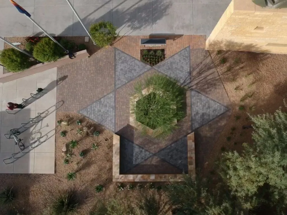 Local yard maintenance in Phoenix, AZ by Coconut Contracting