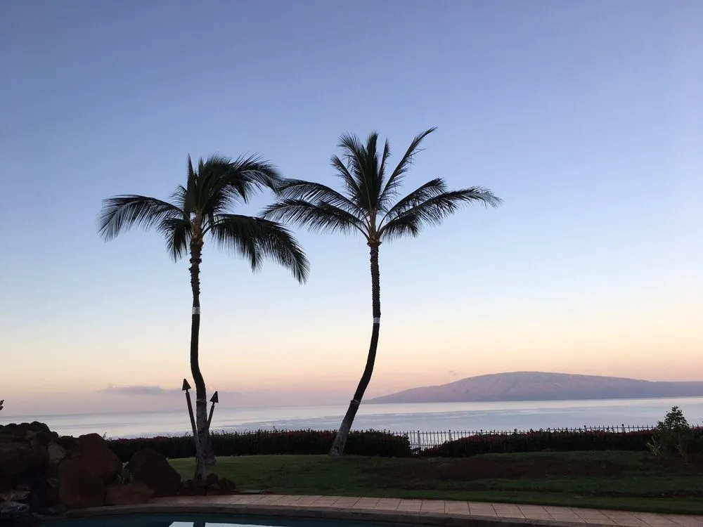 Custom yard cleanup service experts serving Kula, HI - Coconut Kuleana