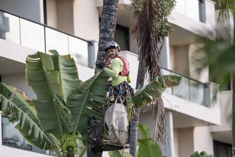 Expert landscape installation in Kula, HI - Coconut Kuleana