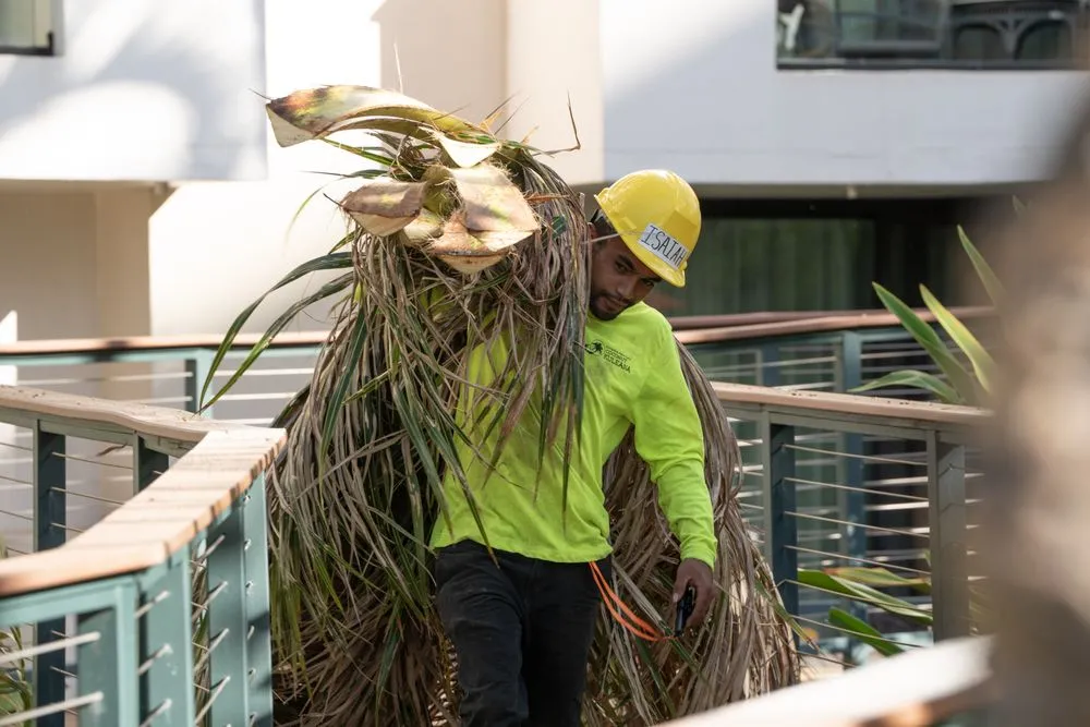 Top-rated lawn mowing service for beautiful yards in Kula, HI by Coconut Kuleana