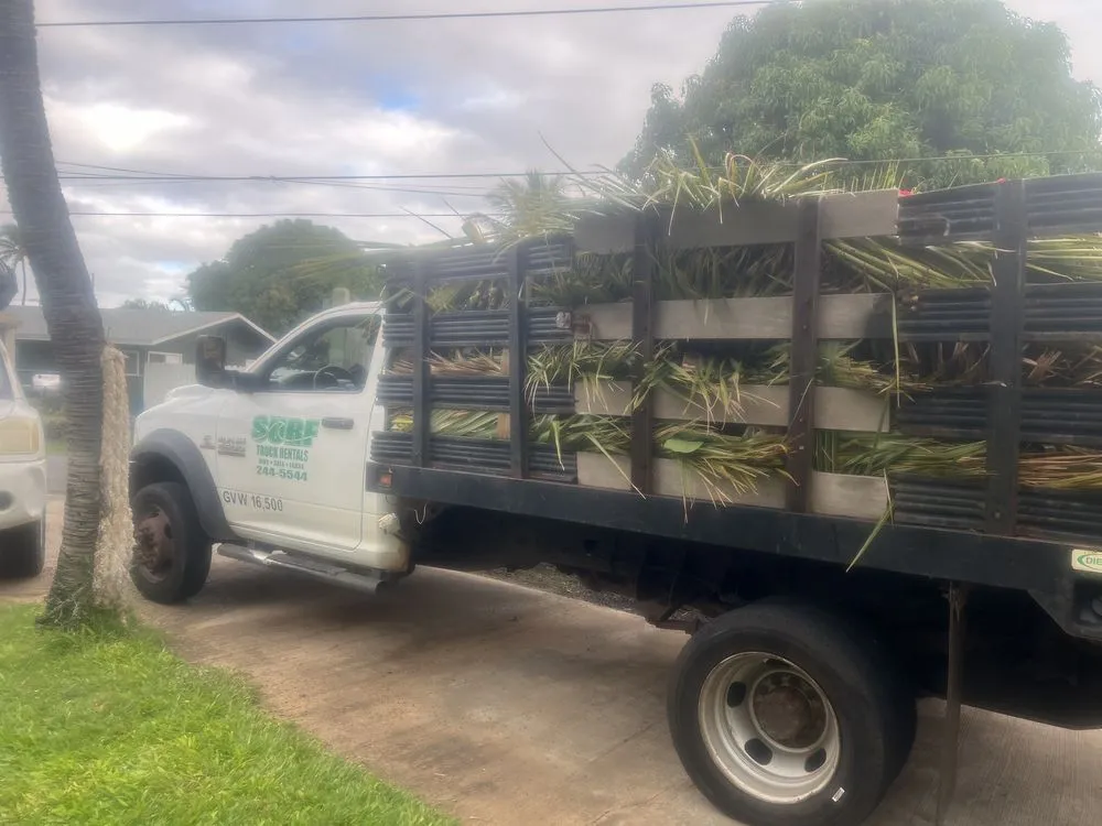 Expert residential landscaping in Kula, HI - Coconut Kuleana