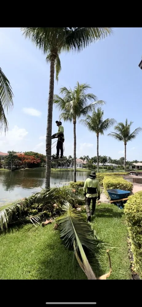 Top-rated yard maintenance for year-round maintenance in Hialeah, FL by Coconut Trimmers & Garden