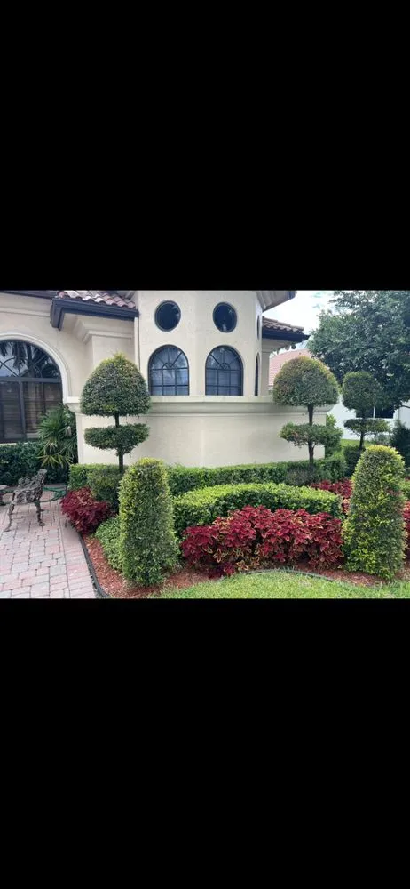 Affordable landscape installation in Hialeah, FL - Coconut Trimmers & Garden