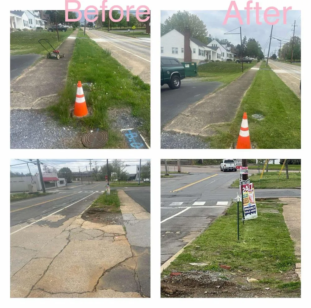 Local yard cleanup service experts serving Kingsport, TN - Coconutt For Your Lawn
