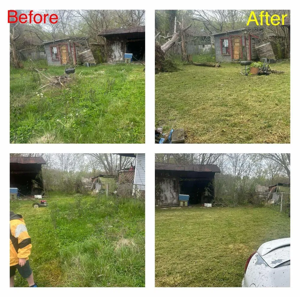 Reliable lawn mowing service in Kingsport, TN by Coconutt For Your Lawn