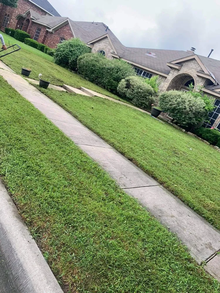 Expert landscape installation for outdoor upgrades across Dallas, TX - Cocos Insulation and Lawn