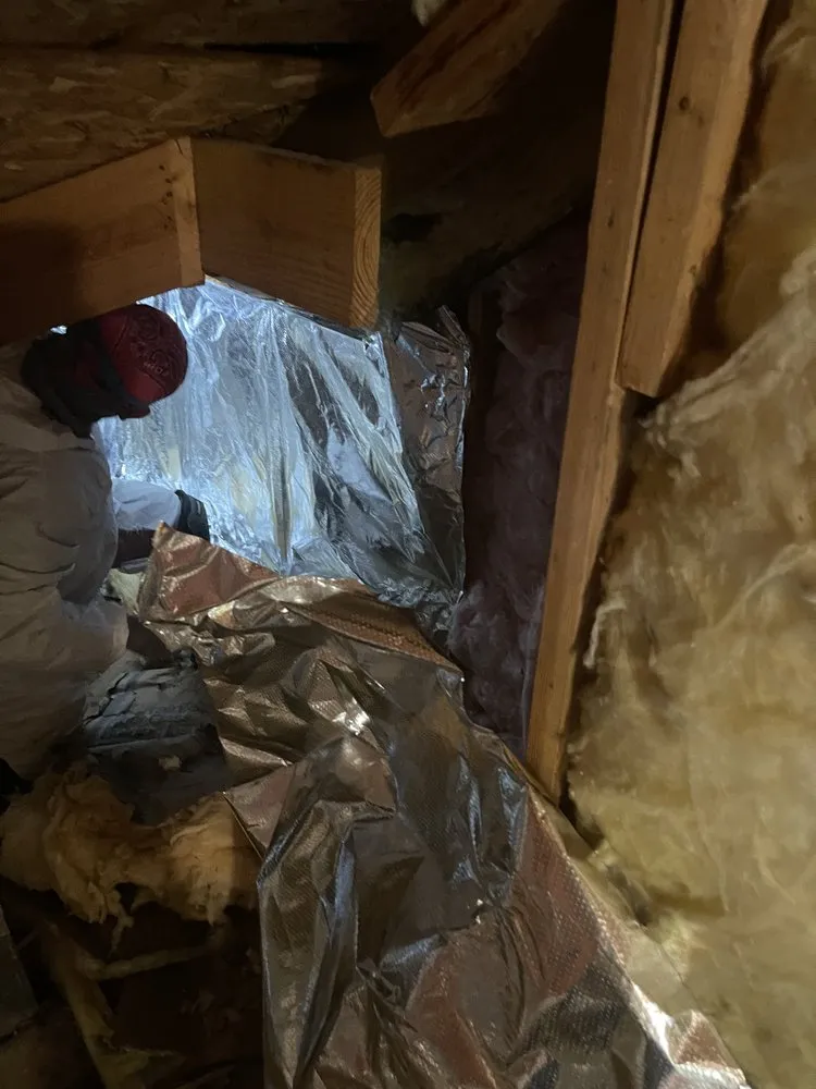 Reliable landscaping services in Dallas, TX by Cocos Insulation and Lawn