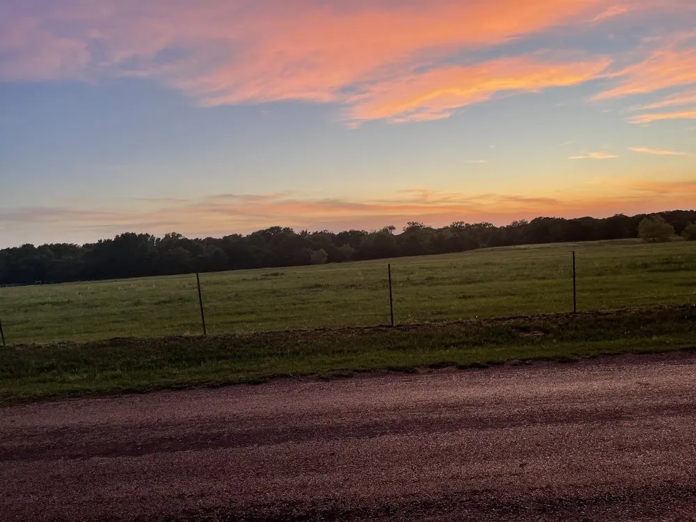 Trusted lawn care service in Dallas, TX by Cocos Insulation and Lawn