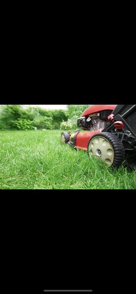 Custom yard maintenance with custom design in Dallas, TX by Cocos Insulation and Lawn