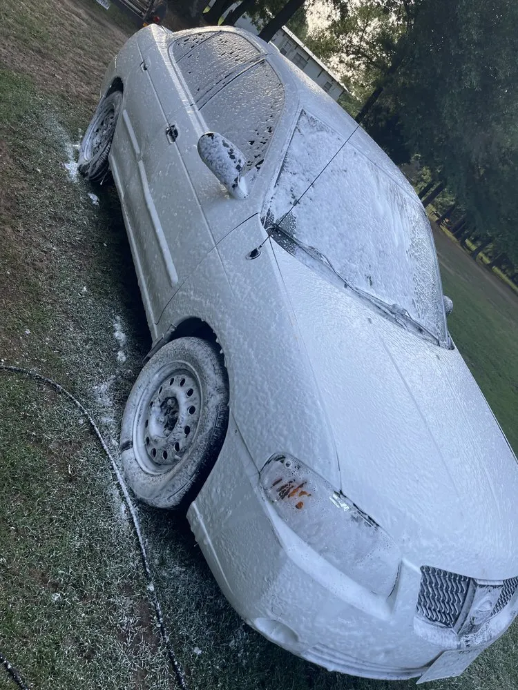 Expert landscape installation in Dallas, TX - Cocos Insulation and Lawn