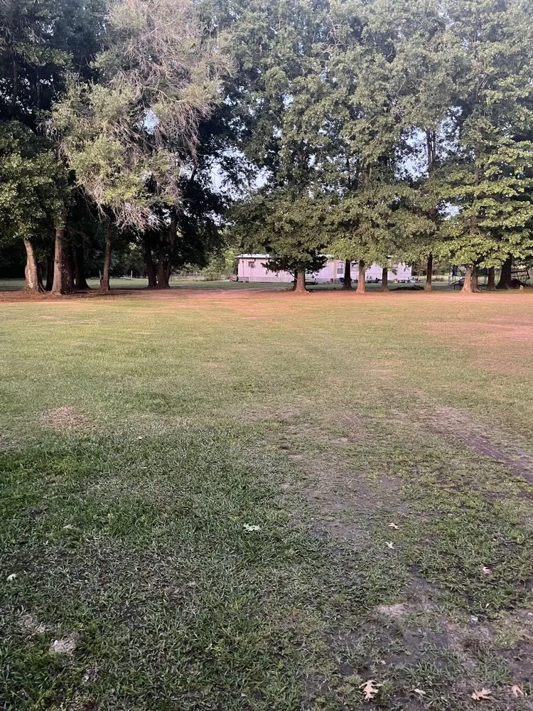 Reliable landscaping services in Dallas, TX by Cocos Insulation and Lawn