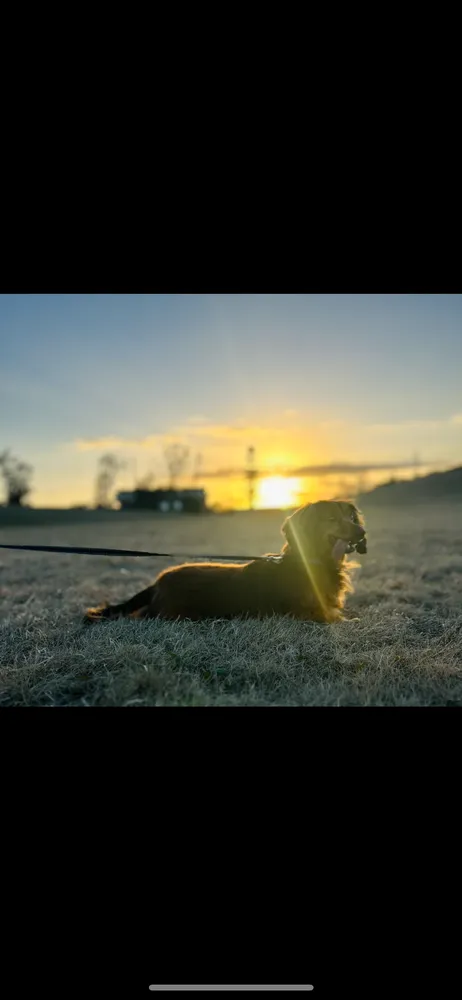 Custom residential landscaping in Lafayette, LA by Coco's Lawn Care