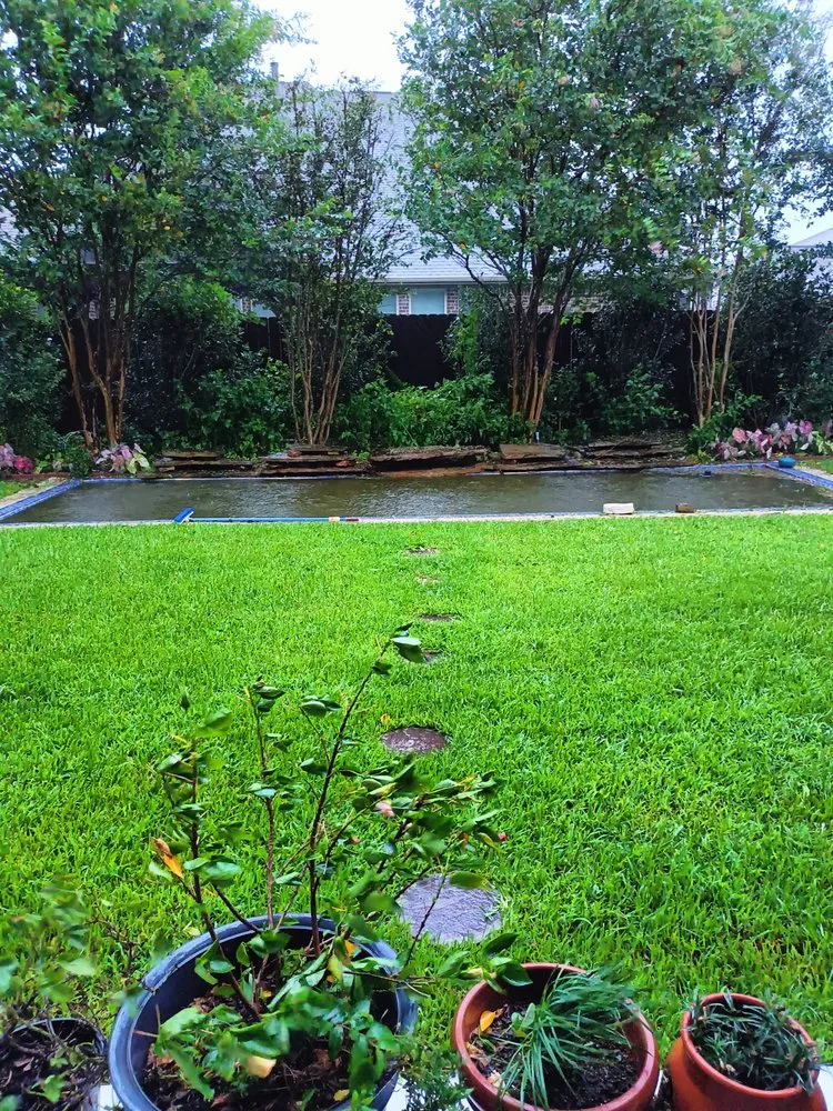 Expert landscape installation near you in Friendswood, TX by Coco's Nursery & Landscaping