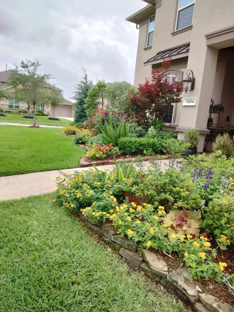 Affordable yard cleanup service in Friendswood, TX by Coco's Nursery & Landscaping