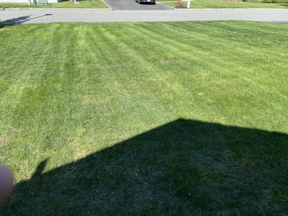 Custom lawn care service experts serving East Hanover, NJ - Cocuzza Landscaping