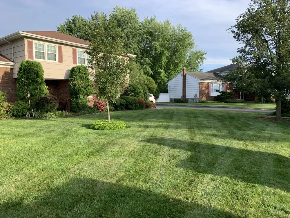 Expert lawn care service for beautiful yards across East Hanover, NJ - Cocuzza Landscaping