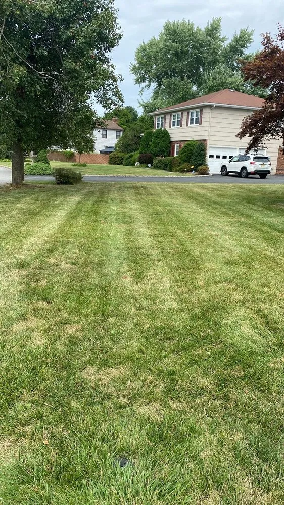 Expert yard cleanup service for year-round maintenance in East Hanover, NJ by Cocuzza Landscaping