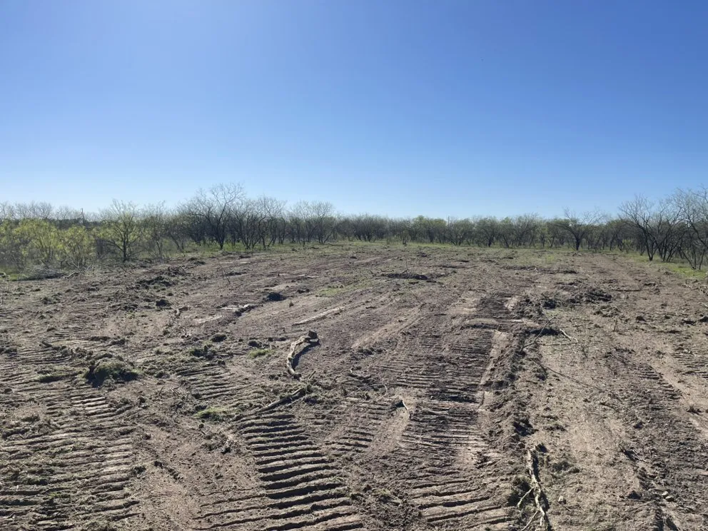 Expert landscape design near you across Jewett, TX - Code 4 Land Services