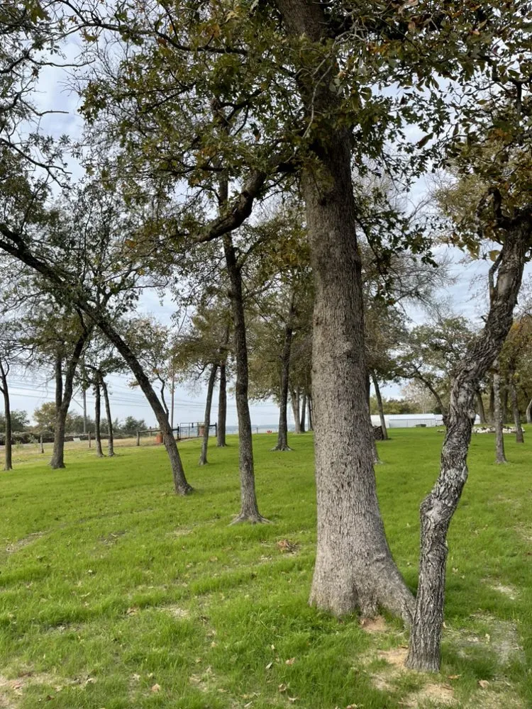 Affordable residential landscaping experts serving Jewett, TX - Code 4 Land Services