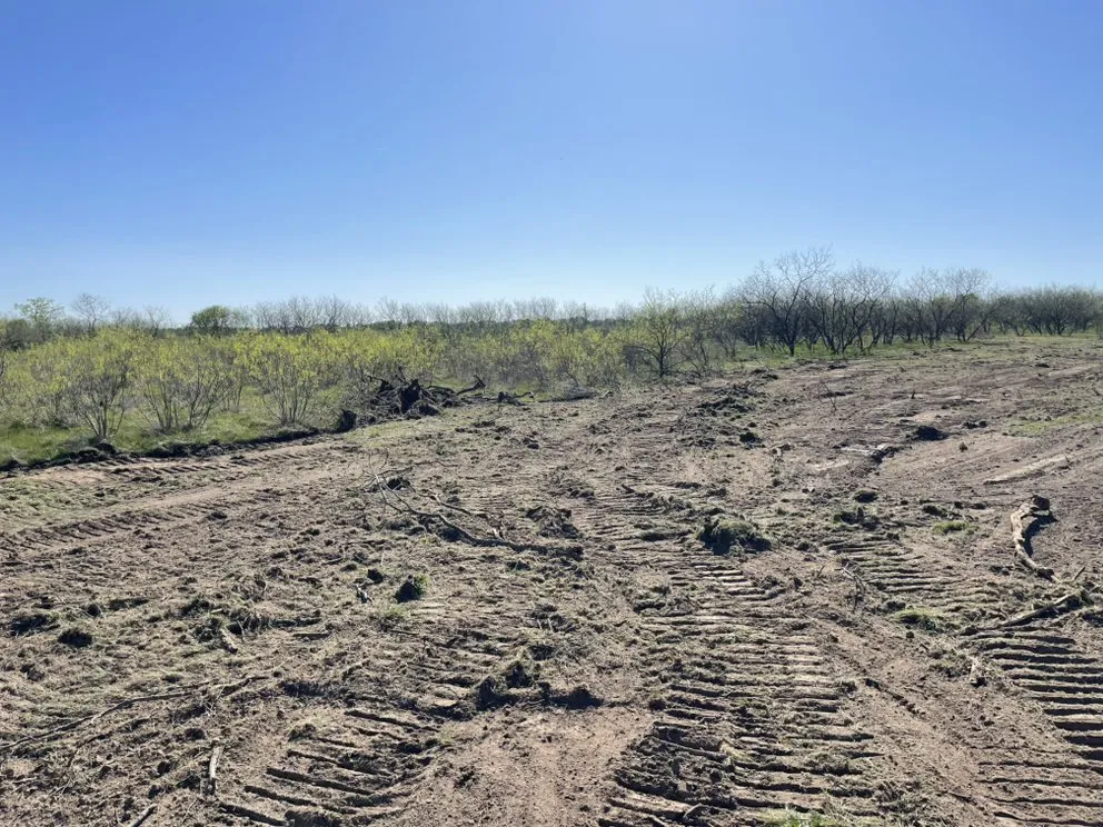 Custom landscape design for residential properties in Jewett, TX by Code 4 Land Services