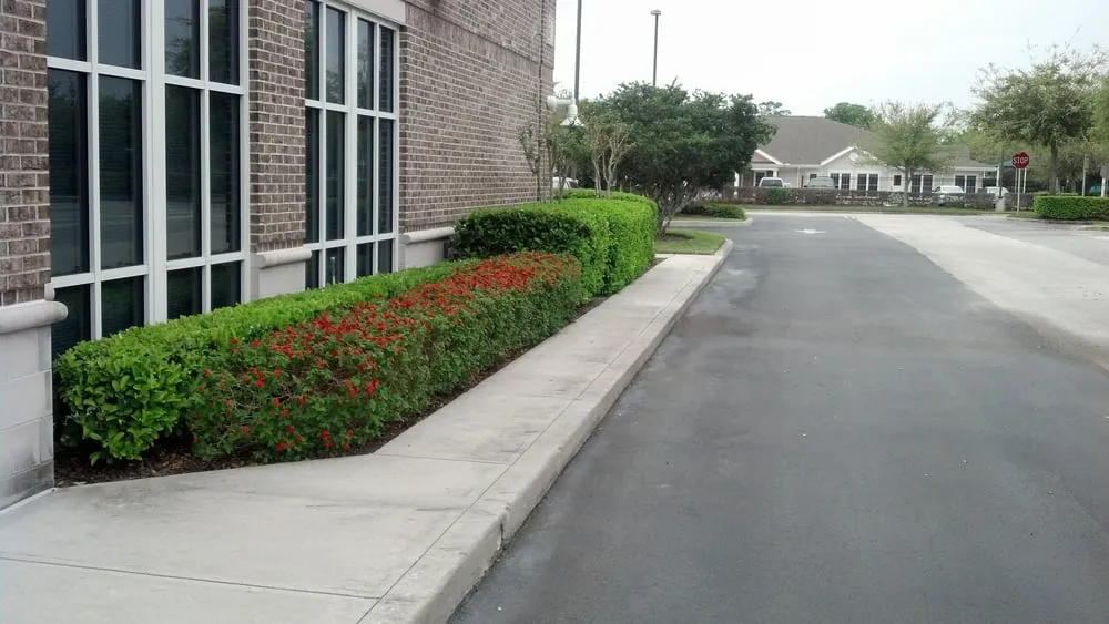 Local yard maintenance in Orlando, FL by Code Green Lawn Services