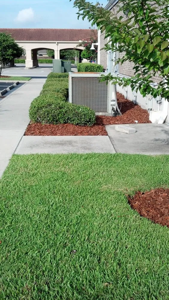 Affordable yard maintenance near you in Orlando, FL by Code Green Lawn Services
