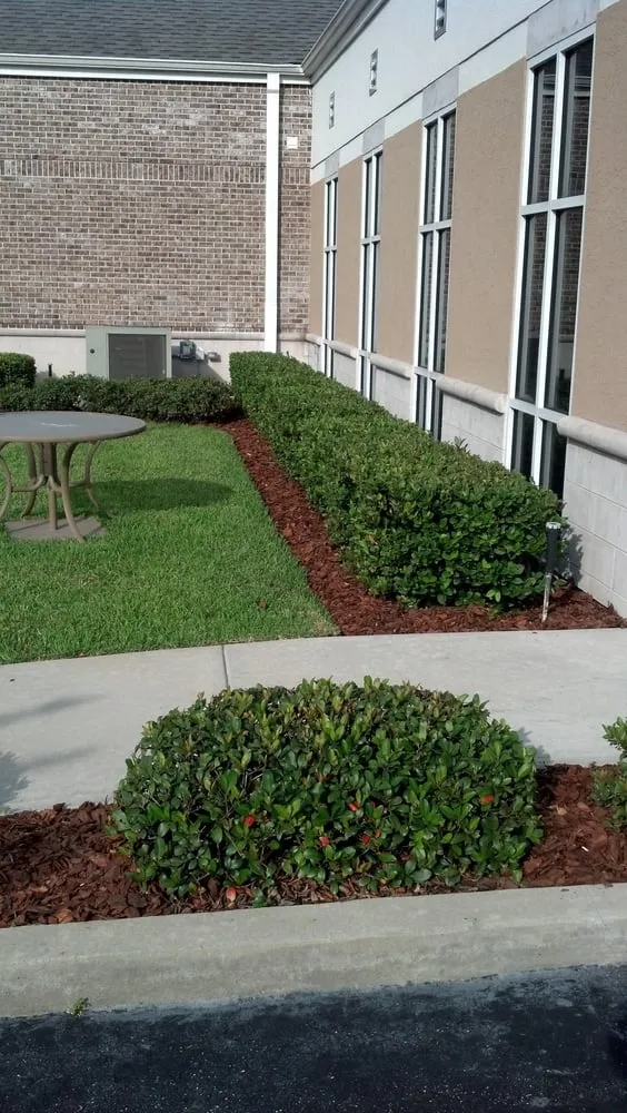 Local landscape installation experts serving Orlando, FL - Code Green Lawn Services