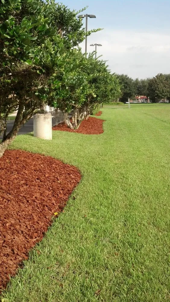 Trusted residential landscaping with custom design in Orlando, FL by Code Green Lawn Services