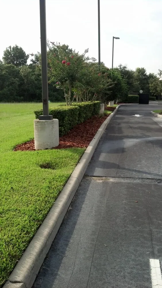 Top-rated yard cleanup service experts serving Orlando, FL - Code Green Lawn Services