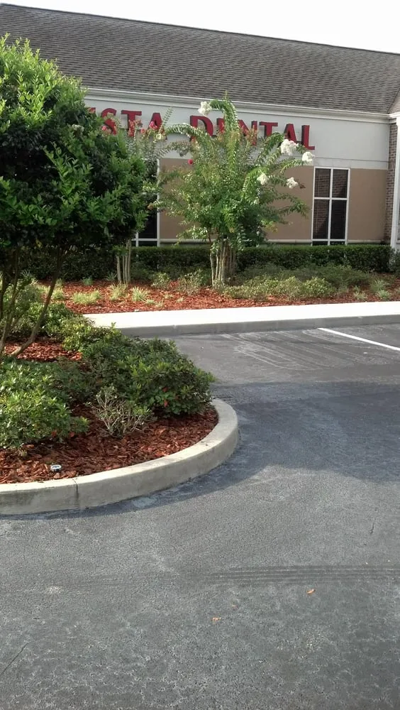 Local yard maintenance in Orlando, FL - Code Green Lawn Services