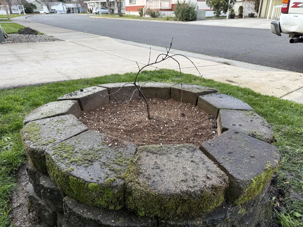 Top-rated yard maintenance experts serving Medford, OR - Code Green Mowers