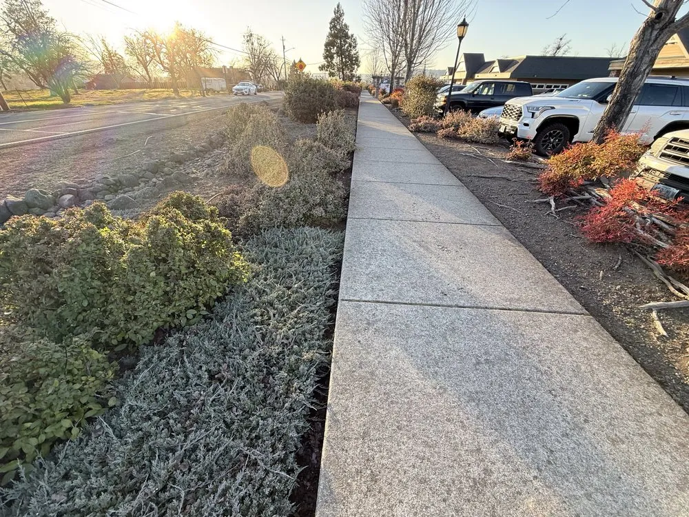 Affordable landscape design in Medford, OR - Code Green Mowers