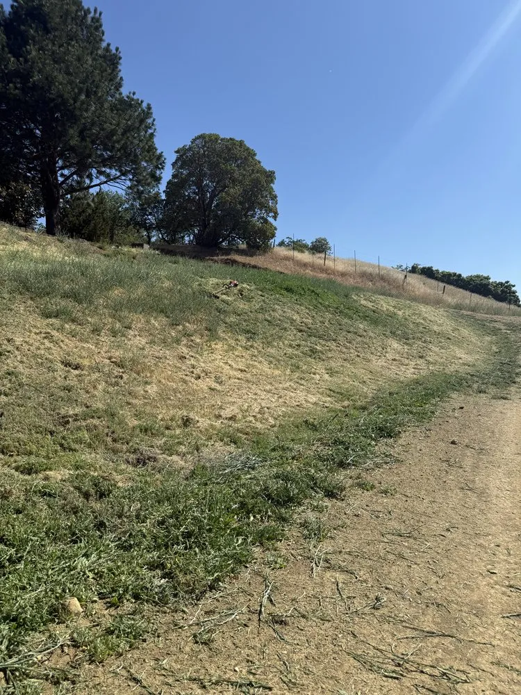 Expert yard cleanup service in Medford, OR - Code Green Mowers