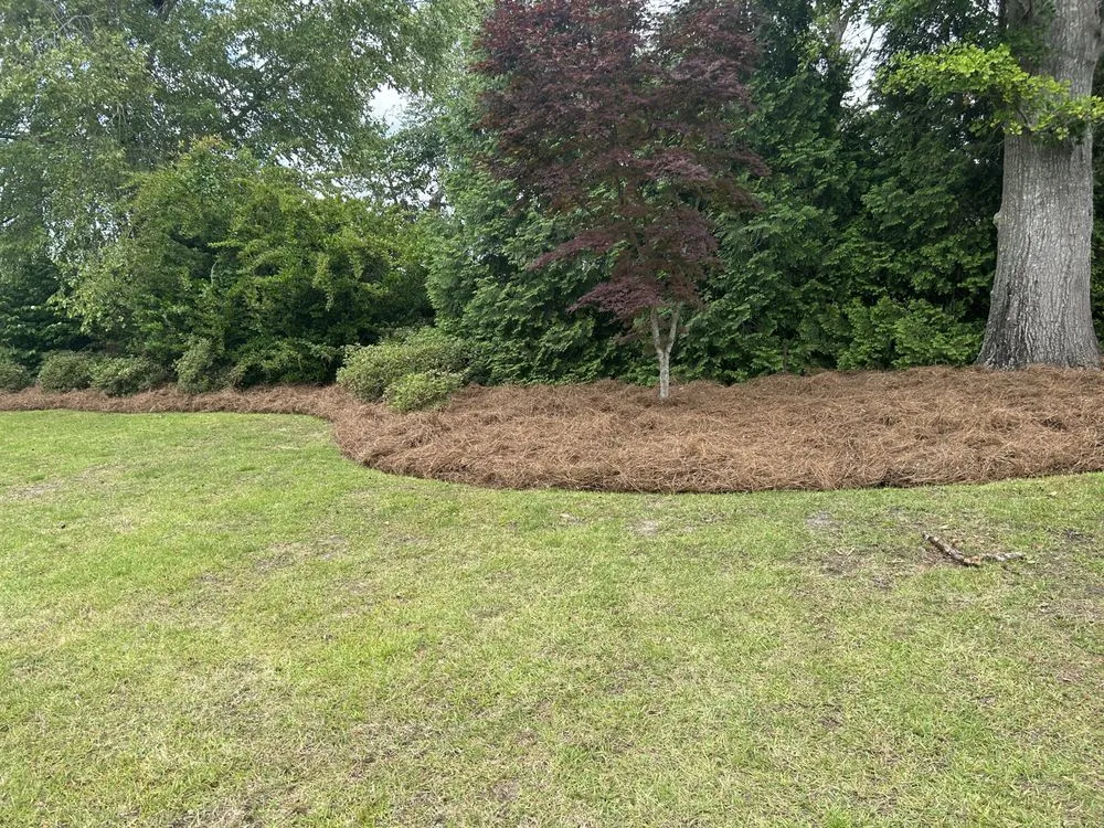 Affordable yard cleanup service for year-round maintenance in Fitzgerald, GA by Code Red Landscaping