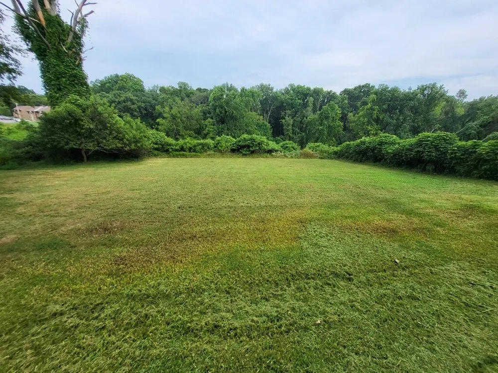 Custom yard maintenance for beautiful yards in Lebanon, TN by CodeMancuts