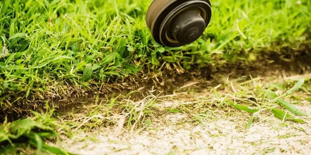 Expert landscaping services in Lebanon, TN by CodeMancuts