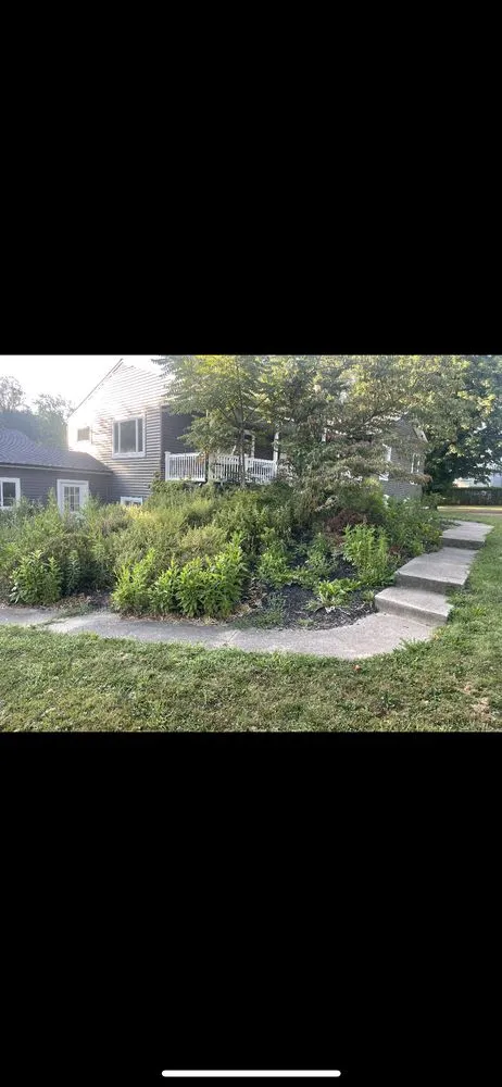 Local residential landscaping for year-round maintenance across Akron, OH - CODO Junk Removal & Property Services