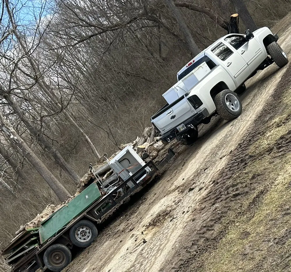 Professional yard maintenance in Akron, OH by CODO Junk Removal & Property Services